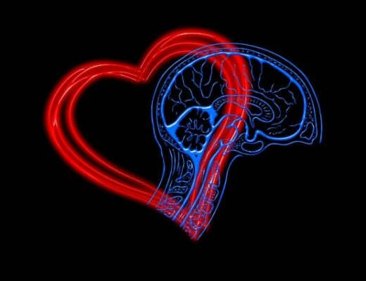 disegni di un cuore e un cervello che si sovrappongono in parte
